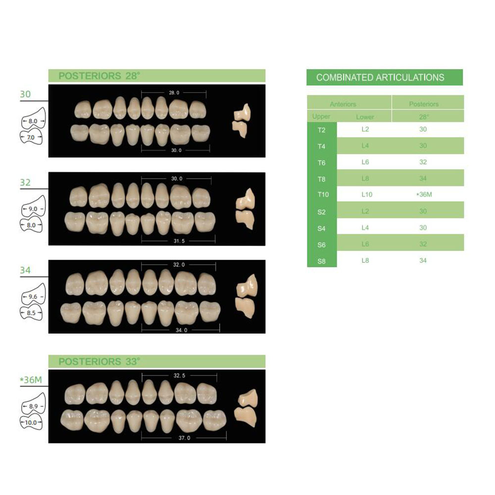 4/12/16sets /box Dental Resin  - đánh giá và giá Resin Art Case