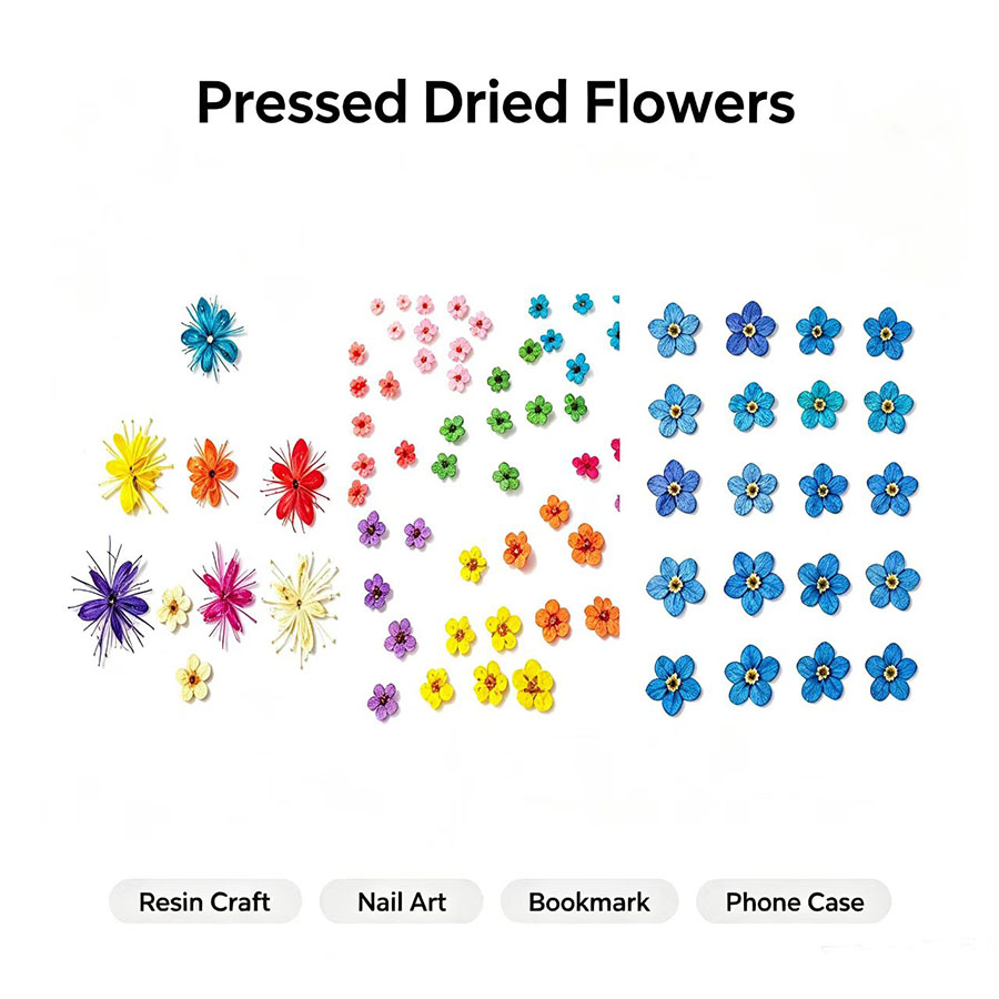 60pcs Mini Pressed Dried Flowe - đánh giá và giá Resin Art Baby